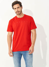 Camiseta colcci 43
